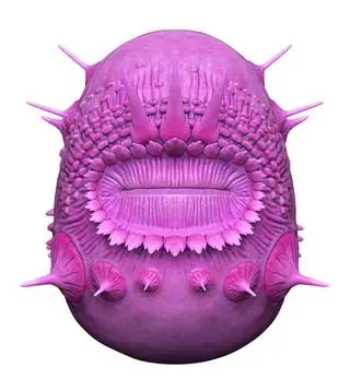 Saccorhytus coronarius - wizualizacja