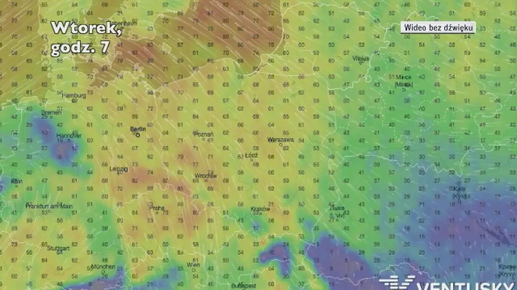 Porywy wiatru w następnych dniach (ventusky