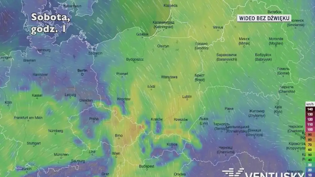 Prognozowane porywy wiatru w najbliższych dniach