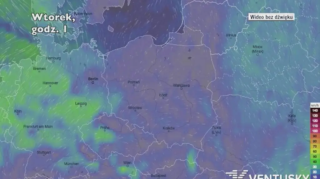 Porywy wiatru w najbliższych dniach