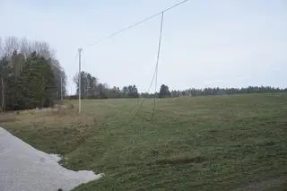 Zniszczenia w nadleśnictwie Świdwin