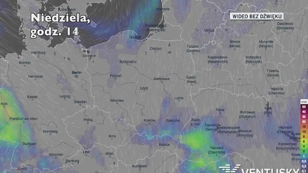 Prognozowane opady deszczu w kolejnych dniach (Ventusky