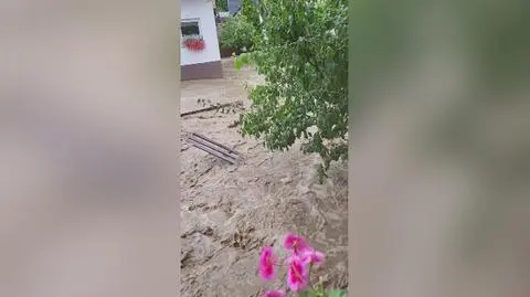 "Wojsko Polskie będzie pomagać naszym sojusznikom"