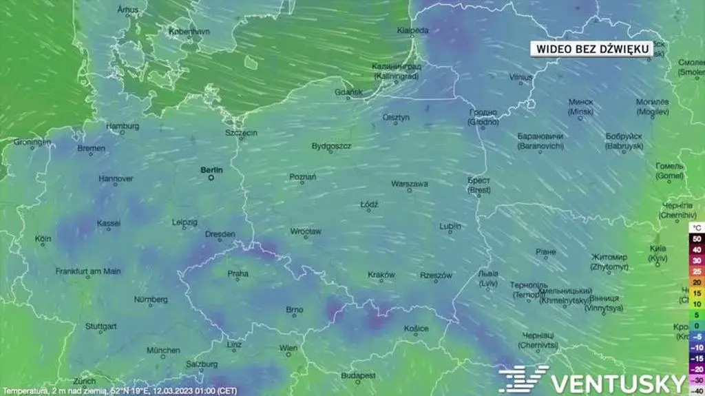 Prognozowana temperatura w kolejnych dniach