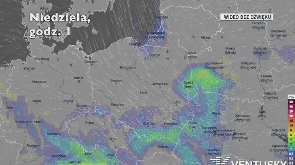 Prognozowane opady deszczu w ciągu pięciu dni (Ventusky