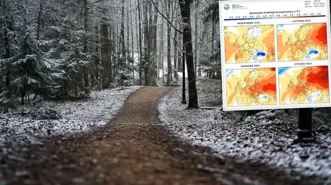 Amerykańska prognoza na zimę dla Polski. Jest najnowsza aktualizacja