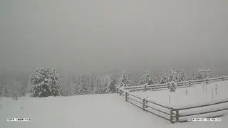 Hala Gąsienicowa, widok na Granaty