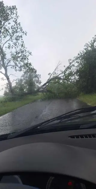 Wiatr połamał drzewa w Czelinie (woj. zachodniopomorskie)