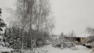 Obrazów okolice Sandomierza