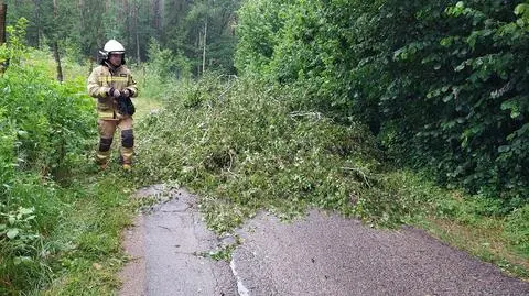 Wiatr niszczył namioty i łamał drzewa. Skutki gwałtownej pogody
