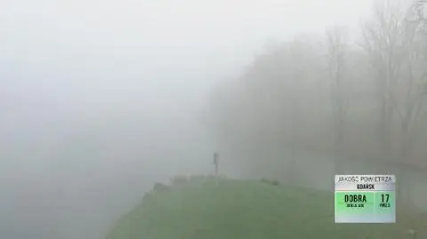 Społeczeństwo pozywa Skarb Państwa o smog