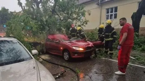 Drzewo przygniotło samochód, zginęła kobieta 