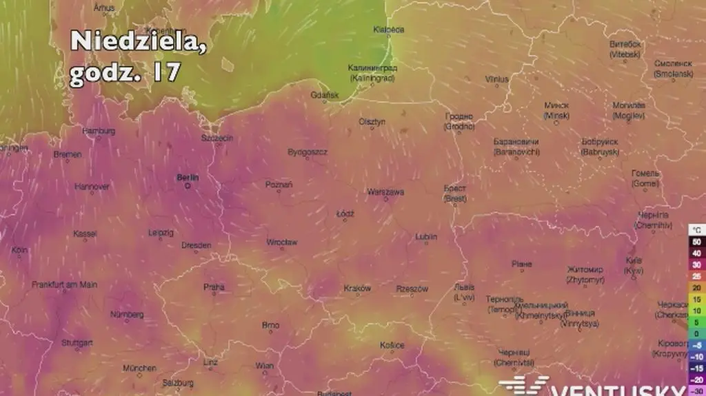 Temperatura w ciągu w kolejnych pięciu dni (Ventusky