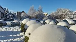 Piekny ranek na Kaszubach