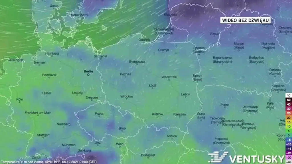 Prognozowana temperatura w ciągu kolejnych dni