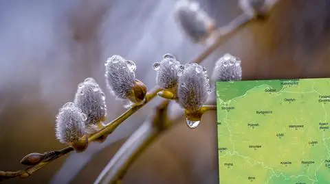 Od deszczu po śnieg, możliwa krupa śnieżna. Pogoda na Wielkanoc