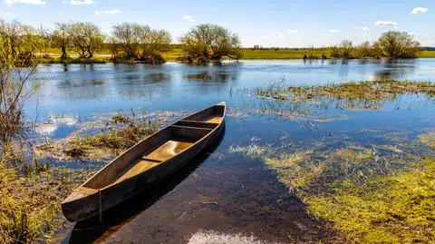 Pogoda w weekend dopisze. Wcześniej miejscami słabo popada śnieg