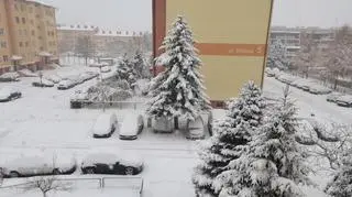 Wreszcie śnieg