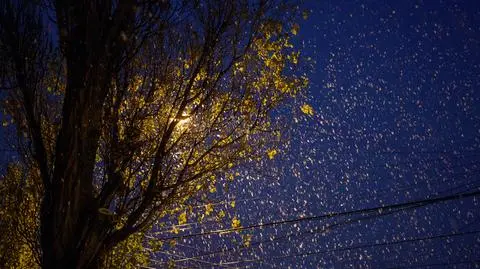 Nocą miejscami popada śnieg