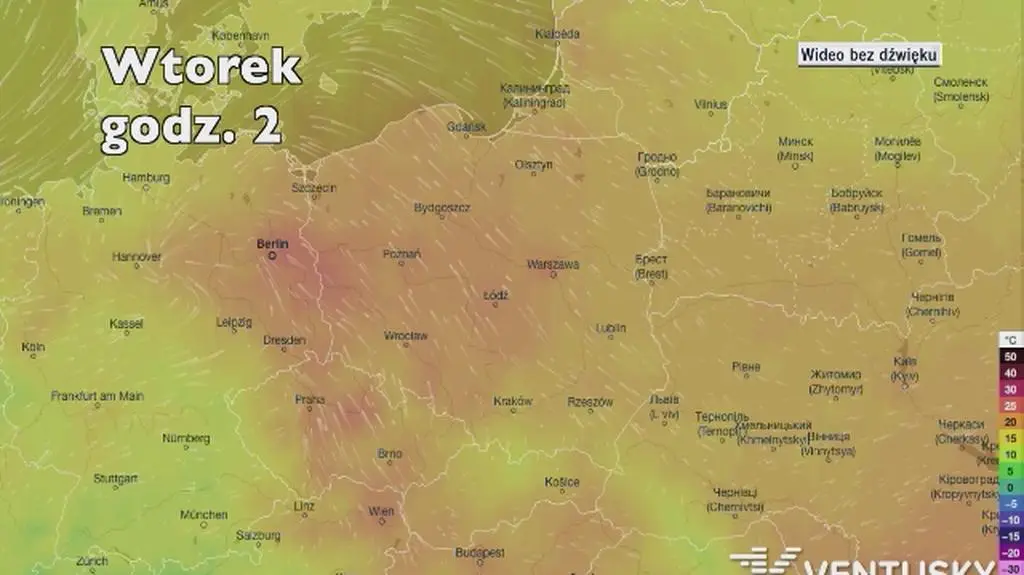 Prognozowana temperatura w najbliższych dniach (Ventusky