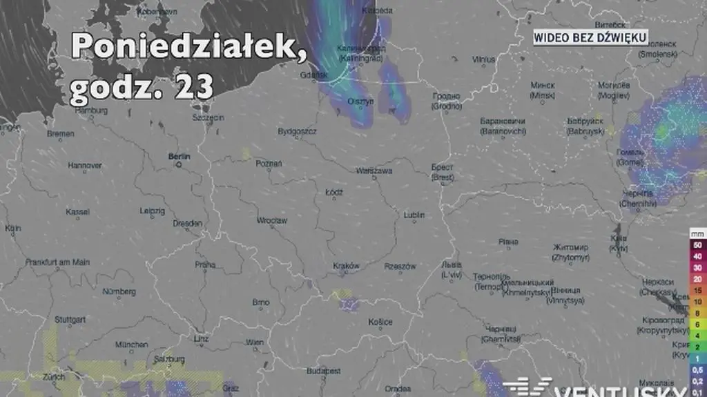 Prognozowana ilość opadów w ciągu kolejnych dni (Ventusky