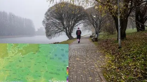 Pogoda na 11 listopada. Długi weekend pod znakiem coraz większego ochłodzenia