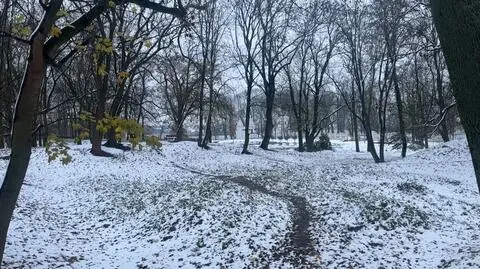 Gdańsk, Bielsko-Biała, Siedlce. Pokazujecie, gdzie spadł śnieg