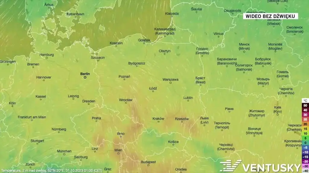 Prognozowana temperatura w dniach 31