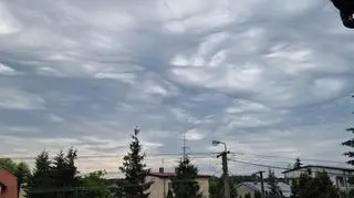 Stratocumulus stratiformis asperitas w okolicach Warszawy