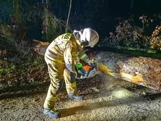 Usuwanie powalonego drzewa z drogi w miejscowości Moryń (woj. zachodniopomorskie)