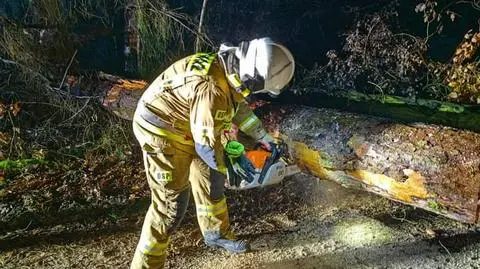 Wiatr łamał gałęzie i przewracał drzewa