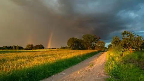 Miejscami będzie tylko 15 stopni