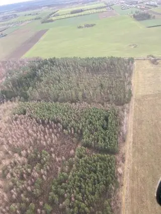 Zniszczenia w nadleśnictwie Świdwin