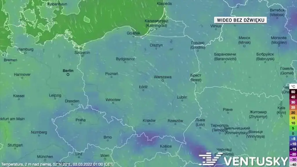 Prognozowana temperatura w najbliższych dniach