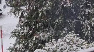Zima zagościła w Chorzowie