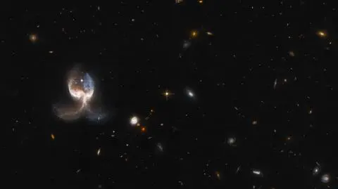 Dwie łączące się galaktyki na zdjęciu Kosmicznego Teleskopu Hubble'a