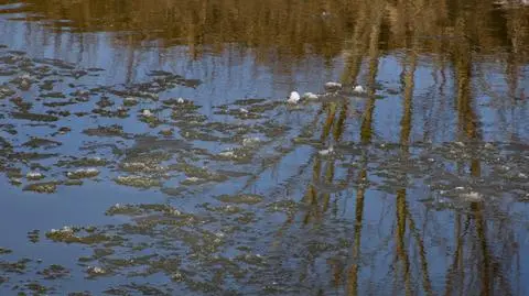 Ostrzeżenia hydrologiczne