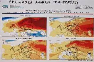 Prognoza anomalii temperatury na kolejne miesiące