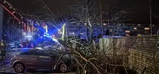 W Koszalinie drzewo przewróciło się na sześć samochodów
