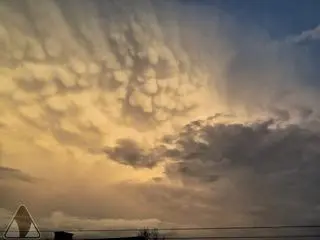 Chmury mammatus nad Jędrzejowem Starym (woj. mazowieckie)
