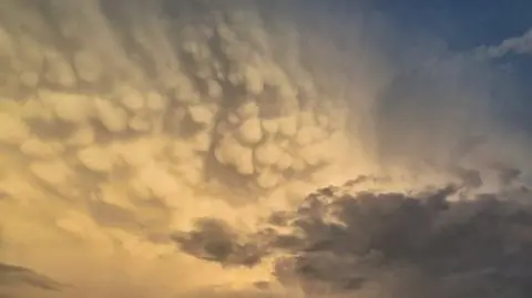 Chmury mammatus nad Jędrzejowem Starym (woj. mazowieckie)
