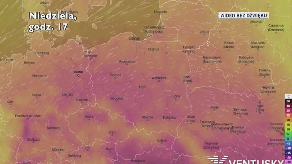 Temperatura w ciągu najbliższych pięciu dni (Ventusky