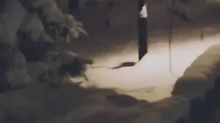 CHORZÓW CAŁY POD ŚNIEGIEM