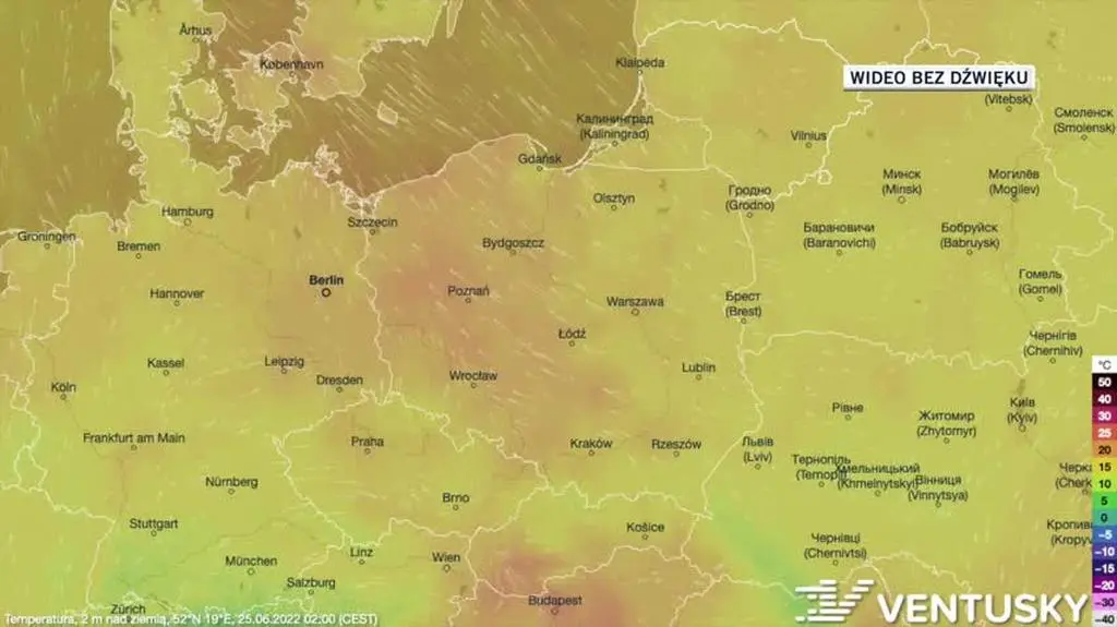 Prognozowana temperatura w dniach 25-29