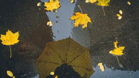 Front atmosferyczny przyniesie do Polski dużą ilość wilgoci