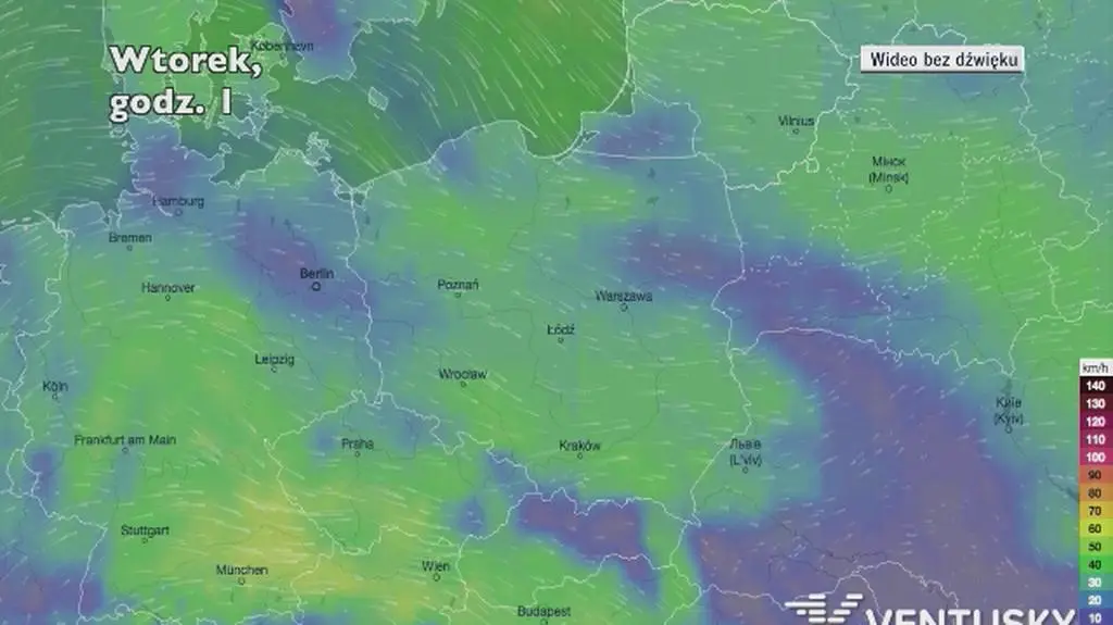 Porywy wiatru w ciągu najbliższych dni