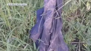 Mężczyzna zabity przez słonia i zjedzony przez lwy - wideo z 2019 roku