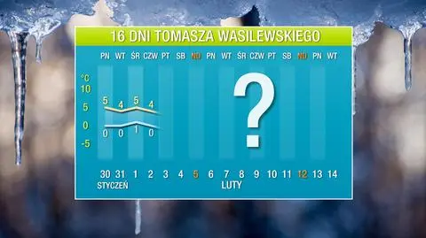 Pogoda na 16 dni: jaka będzie pierwsza połowa lutego