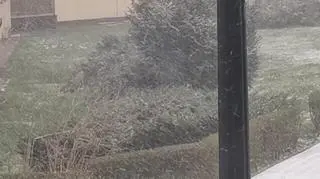 Chorzów pierwszy śnieg tej wiosny