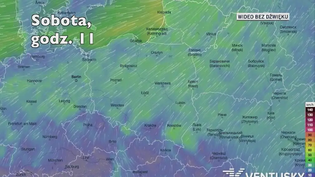 Prognozowane porywy wiatru w kolejnych dniach (Ventusky
